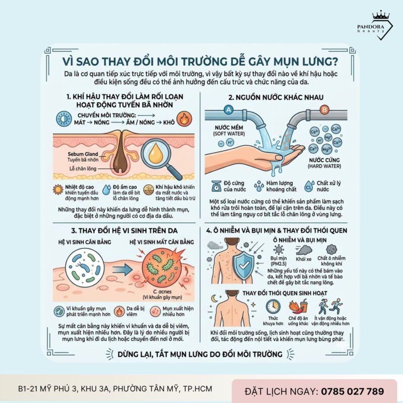 Trị mụn lưng do đổi môi trường: Vì sao da lưng dễ “bùng phát” khi thay đổi nơi sống?