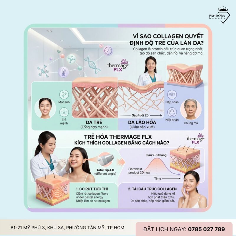 Trẻ hóa Thermage FLX – Bao lâu thì collagen tái tạo mạnh nhất?