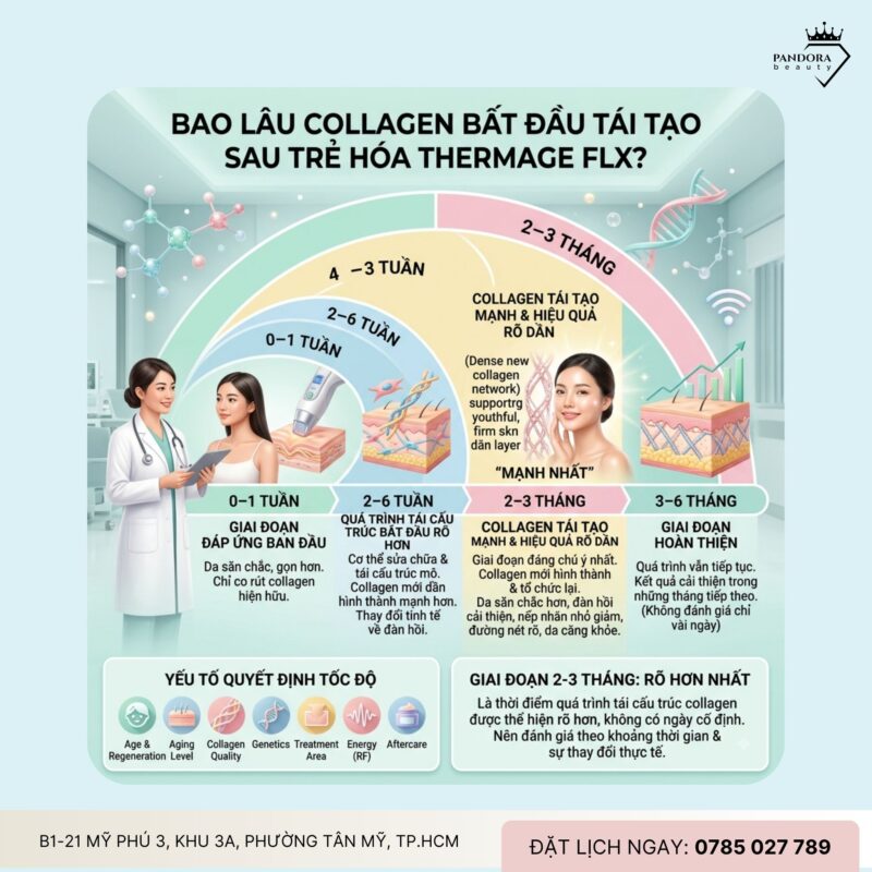 Trẻ hóa Thermage FLX – Bao lâu thì collagen tái tạo mạnh nhất?